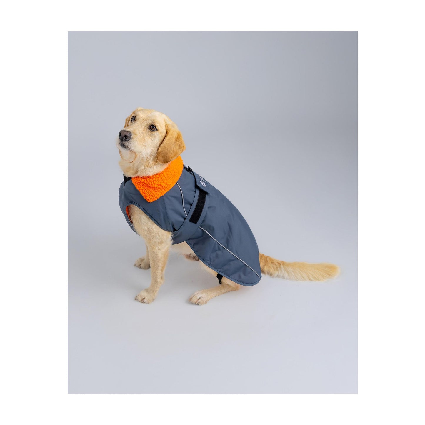 DRYROBE Dog Coat Hundemantel