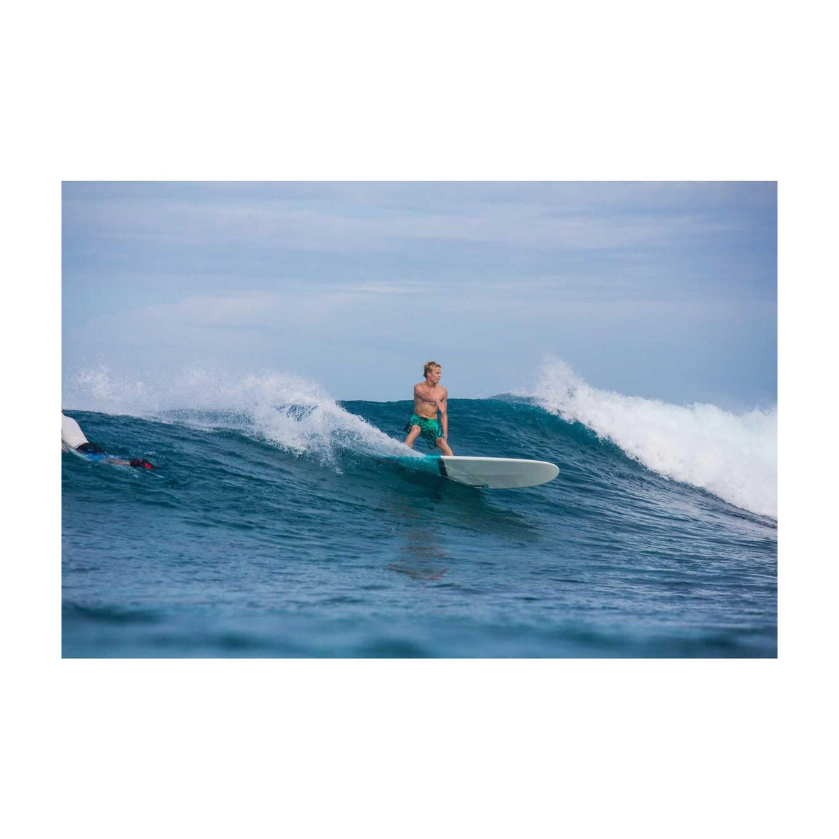 Surfboard TORQ TET Longboard Pinline
