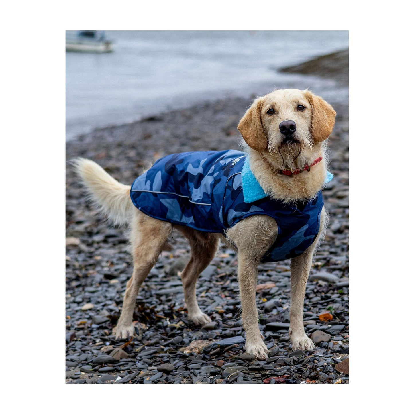 DRYROBE Dog Coat Hundemantel