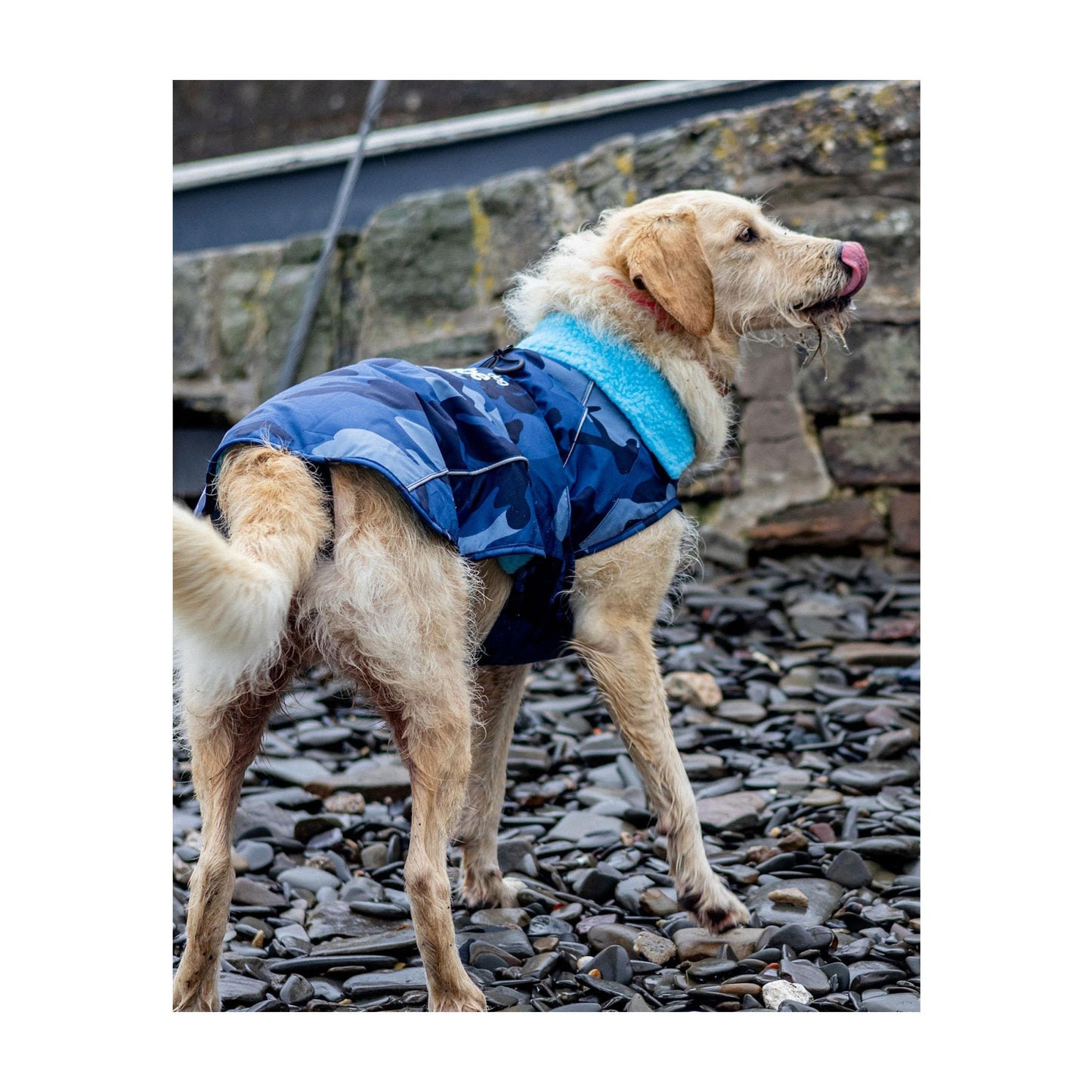 DRYROBE Dog Coat Hundemantel
