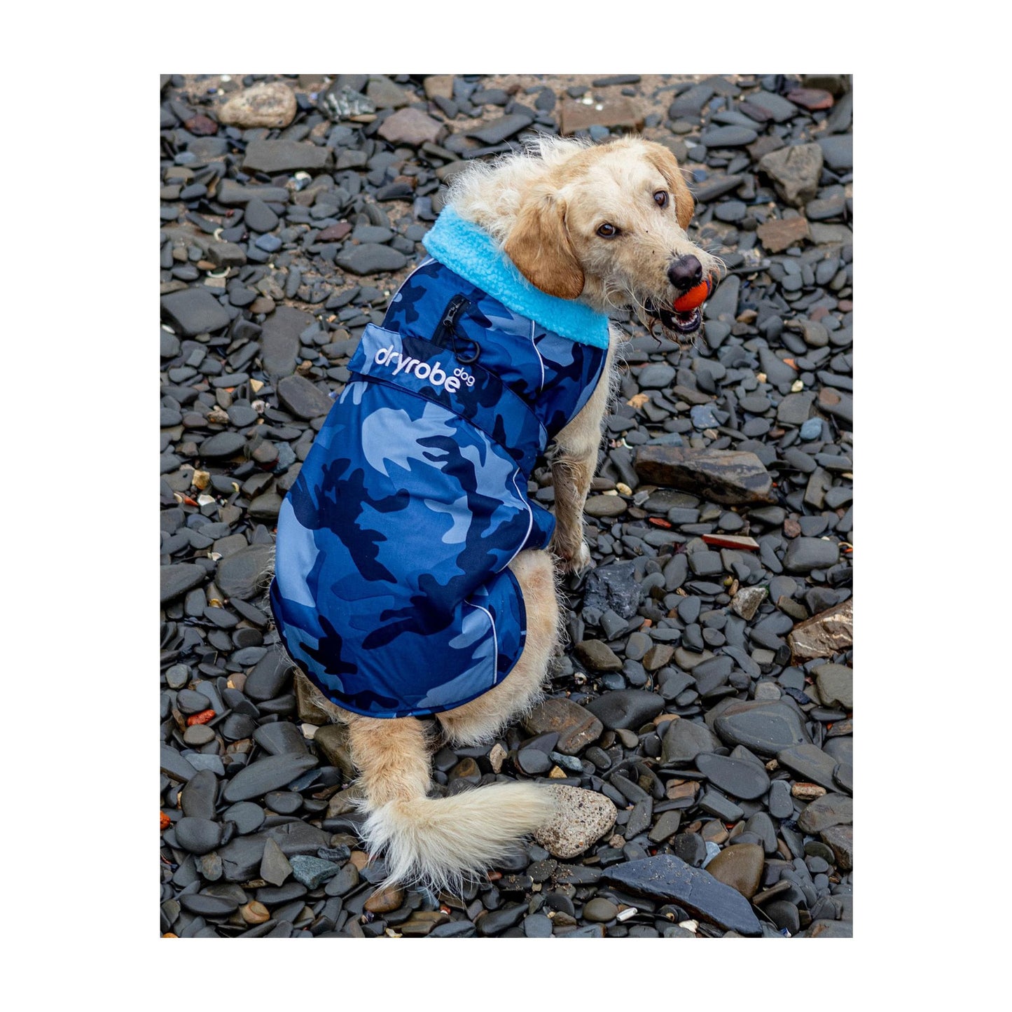 DRYROBE Dog Coat Hundemantel