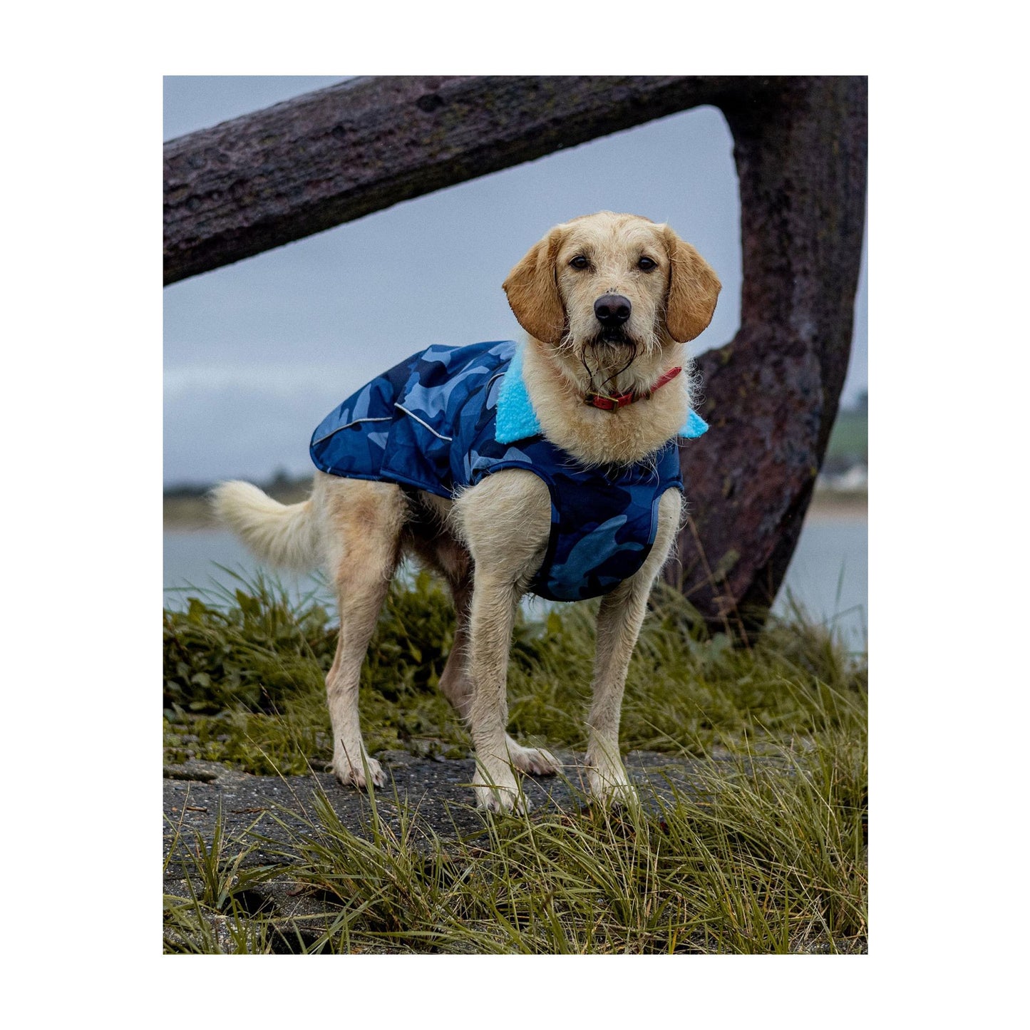 DRYROBE Dog Coat Hundemantel