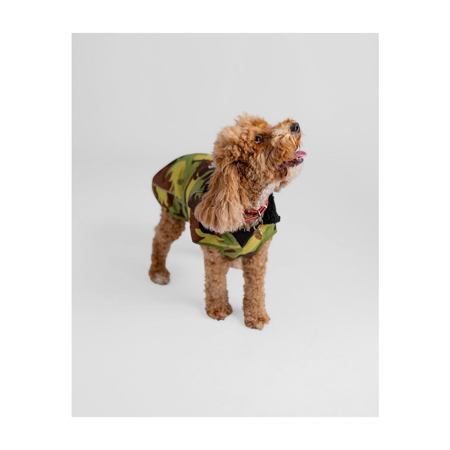 DRYROBE Dog Coat Hundemantel Green Camo Dogs