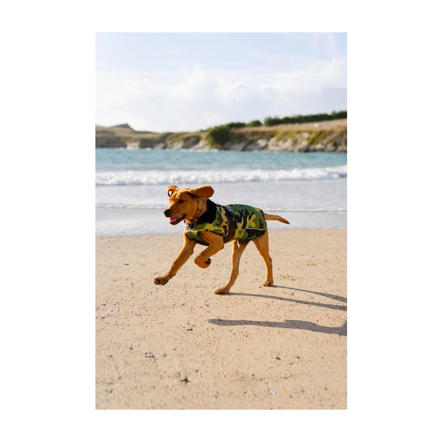 DRYROBE Dog Coat Hundemantel Green Camo Dogs