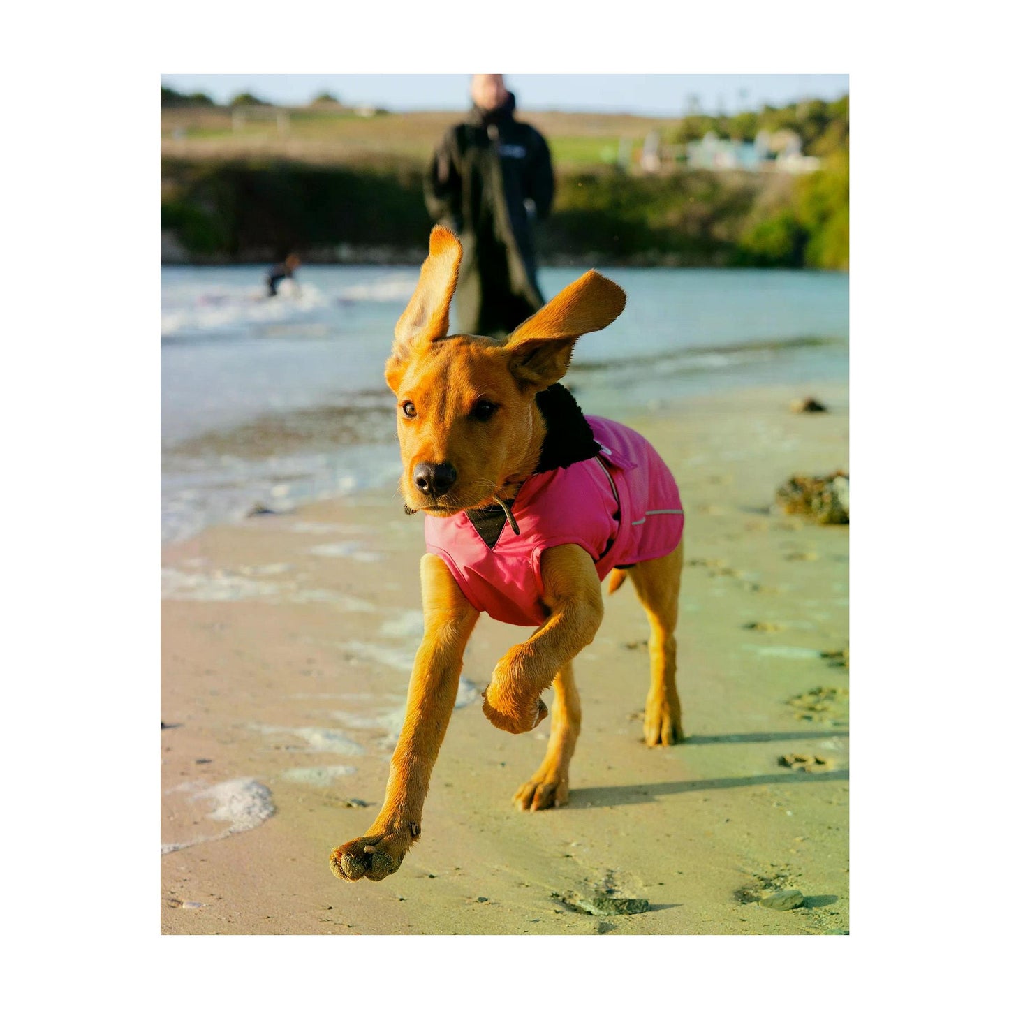 DRYROBE Dog Coat Hundemantel Pink Black Dogs