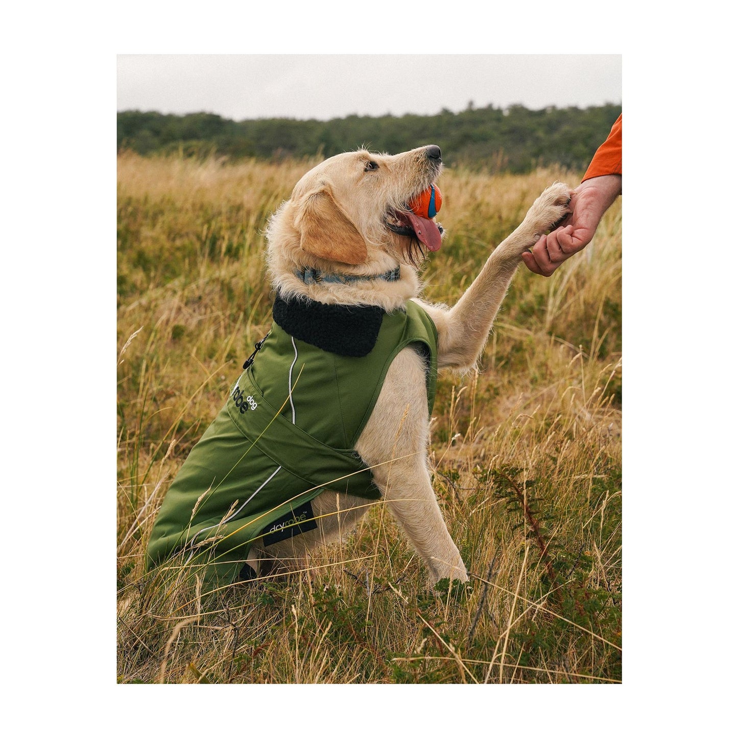 DRYROBE Dog Coat Hundemantel