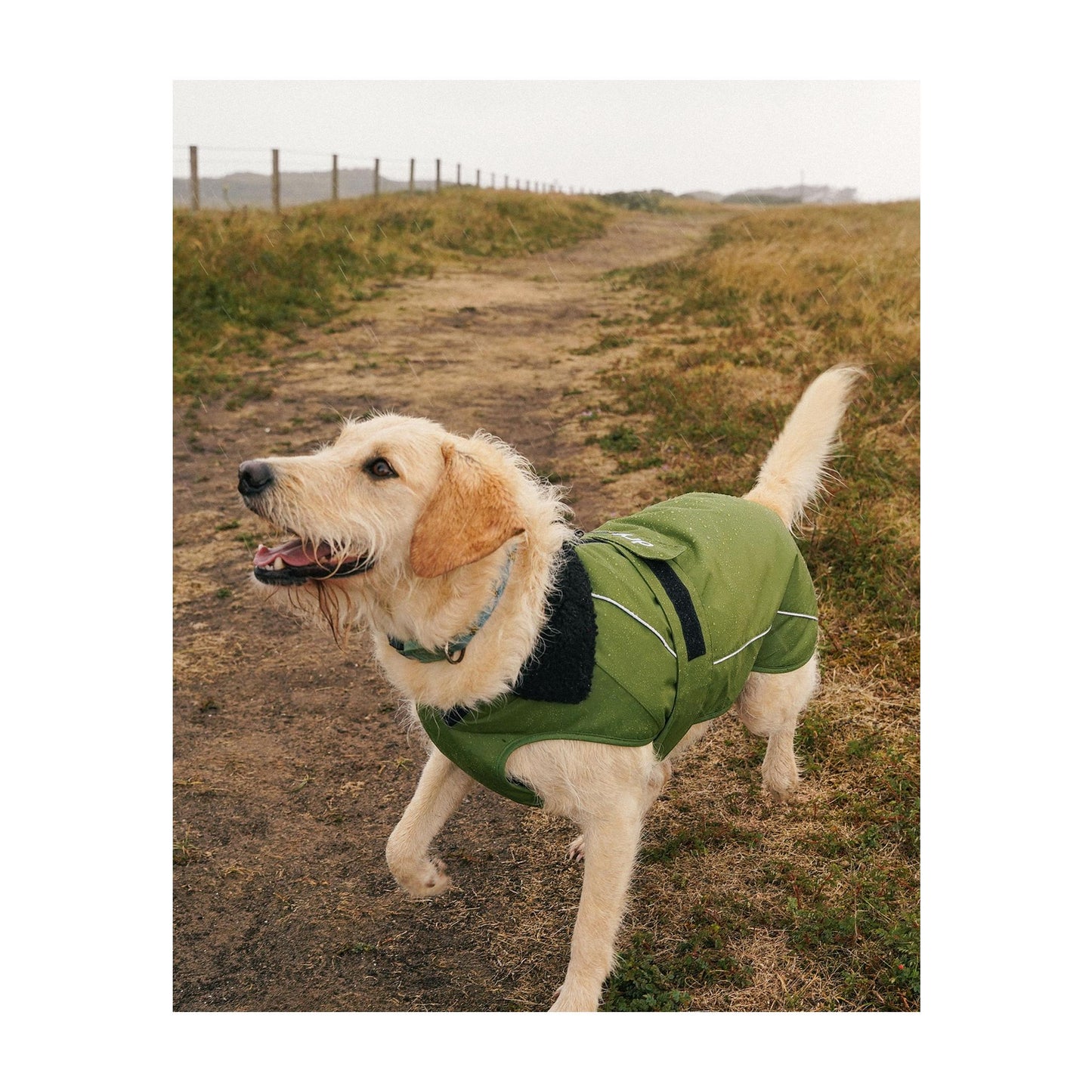 DRYROBE Dog Coat Hundemantel